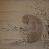 Свиток с изображением обезьянки, Мори Сосэн, Эдо, 18 в.